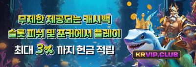 VIP 로열티 프로그램 promotion banner